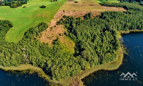 Land Plots by Suviekas Lake