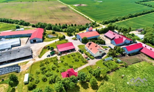 Ferme laitière à Samogitie