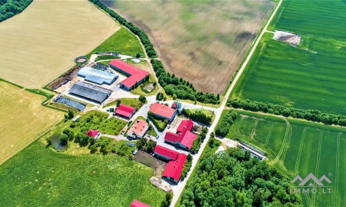 Ferme laitière à Samogitie