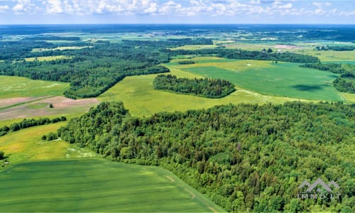 Dairy Farm in Samogitia