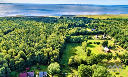 Išskirtinis namų valdos sklypas šalia miško ir Kuršių marių