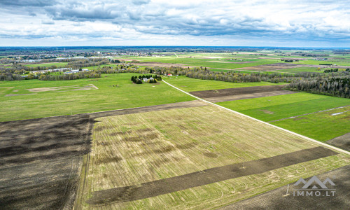 Terres arables près de Mosėdis