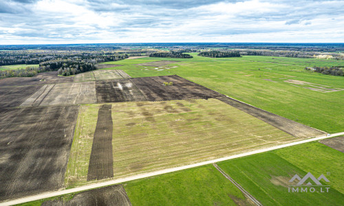 Terres arables près de Mosėdis