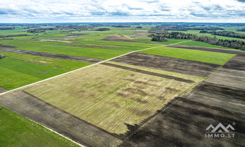 Terres arables près de Mosėdis