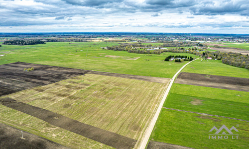 Terres arables près de Mosėdis