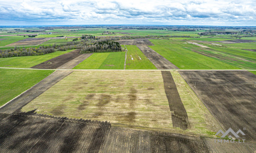 Terres arables près de Mosėdis