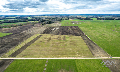 Terres arables près de Mosėdis