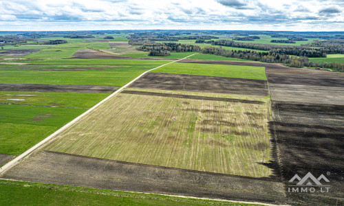 Terres arables près de Mosėdis