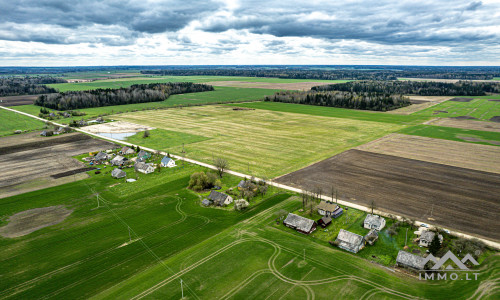 Homestead in Kretinga District