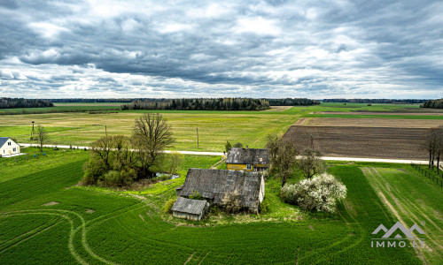 Homestead in Kretinga District