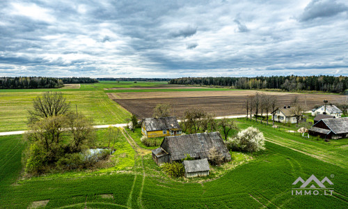 Homestead in Kretinga District