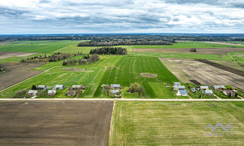 Homestead in Kretinga District