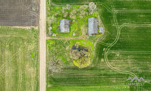 Homestead in Kretinga District