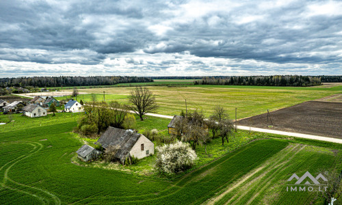 Homestead in Kretinga District