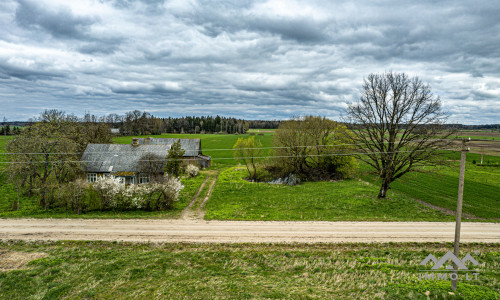 Homestead in Kretinga District