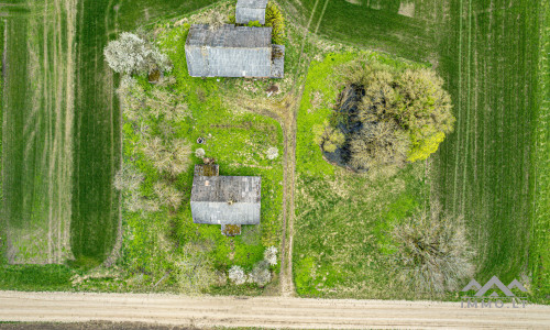 Homestead in Kretinga District