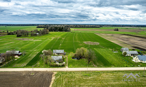 Homestead in Kretinga District