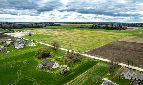 Homestead in Kretinga District