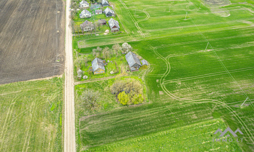 Homestead in Kretinga District