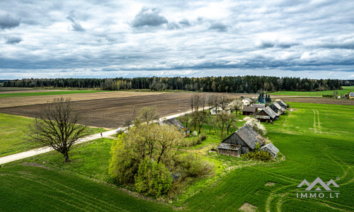 Homestead in Kretinga District