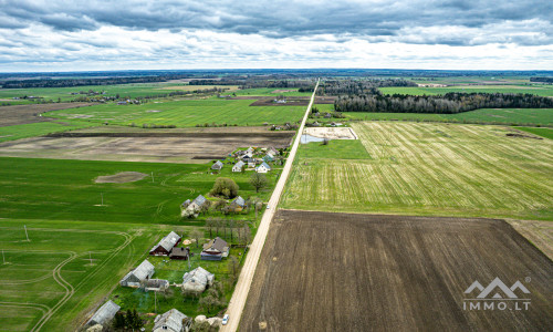 Homestead in Kretinga District